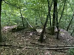 Dolinen-Trichter (Südteil NSG)