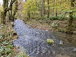 Stelle hoher Fließdynamik