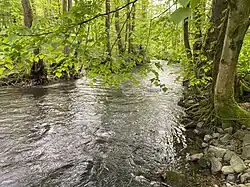 Morsbach südlich der Ortschaft Morsbach