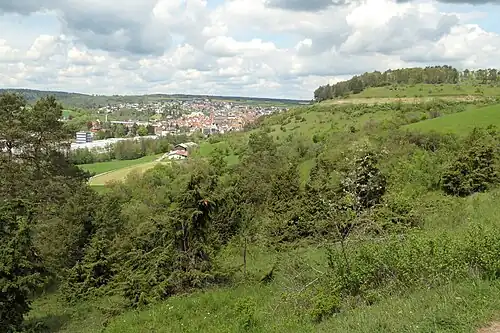 Halbtrockenrasen im NSG Wacholderheide Wurmberg und Brücklein (2023)