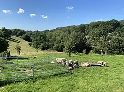 nördl. Beginn des NSG Westerbachtal bei Oberkollenbach