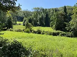 Düsselaue im westlichen Neandertal