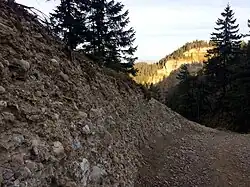 Nagelfluh-Gestein am Napf