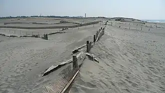 Befestigung der Sanddünen