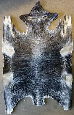 Swakara-Rohfell (Namibia)