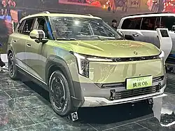Dongfeng Nammi 06