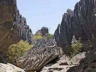Tsingy de Namoroka