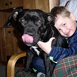 Züngeln bei einer Umarmung von hinten