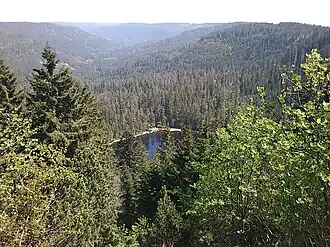 Blick vom Seekopf auf den Wildsee mit umliegendem Bannwald und Naturschutzgebiet