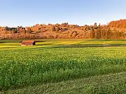 Natt­heimer Tal (2022), Blick von Süden zum Molden­berg