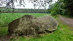 Paul-Woldstedt-Stein