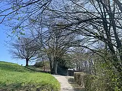 Naturdenkmal: 3-stämmige Stieleiche mit Sitzbank und Einzelbaum (hinten links)