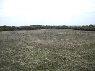 Die etwa 1 ha große Innenfläche der Wallburg mit Kalkmagerrasen