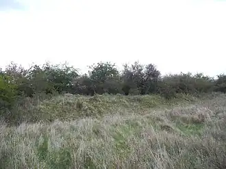 Wall-/Grabenabschnitt im Burggelände, bestanden mit Schlehdornhecken