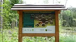 Informationstafel (Sachsenforst u. NABU)
