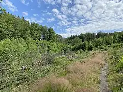 Schevelinger Bachtal