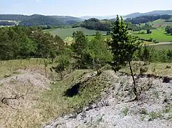 Erosionsrinne an der Ostseite des Weinbergs.