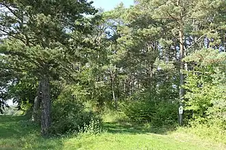 Zugang zum nordöstlichen Areal des Hasenwinkels