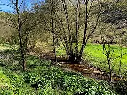 Heilenbecke bei Wittenstein