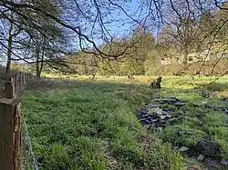 Feuchtwiesen in der Aue der Heilenbecke