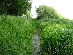Graben am Holländerdeich