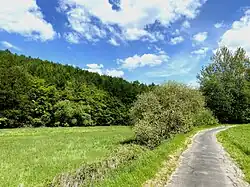 Weg am NSG zw. Birgder Hammer und Leyermühle