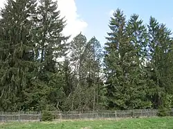 Reste des alten Zaunes