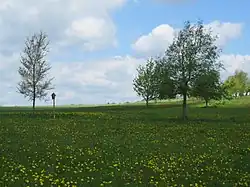 Nordgrenze des Schutzgebiets