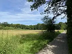 Südwestlichste Fläche im NSG