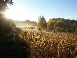 Herbst im Tennenloher Forst