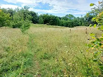 Heidelandschaft mit Pingen