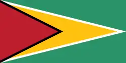Handelsflagge von Guyana