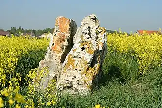 Menhir