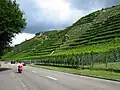 Bei Poppenweiler geht es an Weinbergen vorbei.
