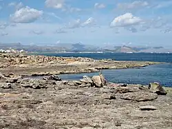 Die Punta des Fenicis mit den Grabstätten