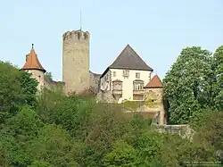 Burg Neidenstein