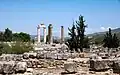 Der Zeus-Tempel (Zustand 2004)