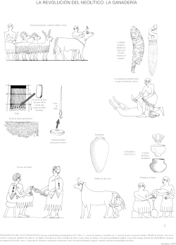 Zusammenfassende, schematische Darstellungen neolithisch landwirtschaftlicher Tätigkeiten.