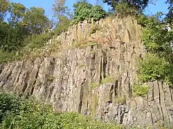 Erstarrter Nephelin-Säulenbasalt am Otzberg, Naturdenkmal