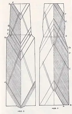 Umfassende Schnittanlagen (Nerz)