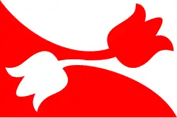 Flagge des Ortes Nes