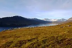 Der Norðfjörður und Neskaupstaður im Herbst