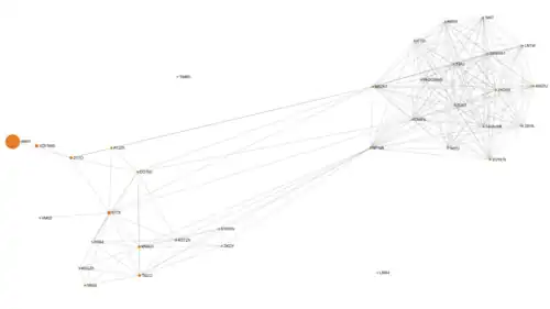 Netzwerkvisualisierung der vom 28. November 2019 bis zum 24. Dezember 2020 verwendeten Rufzeichen von The Buzzer