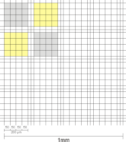 Gruppenquadrate der alten Neubauer