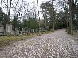 Hauptallee mit Gräberfeld links