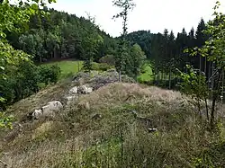 Vorburgbereich. Felsiger Abschnittsgraben