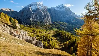 Neuner (links) und Zehner (rechts)