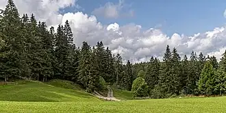 Blick aus Richtung der Bregquelle zum Sattel zwischen Rosseck (links) und Farnberg