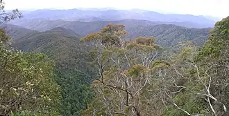 Blick vom Point Lookout, einem Berg im New-England-Nationalpark