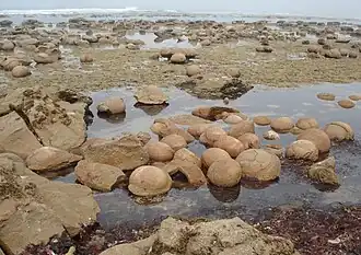 Die Katiki Boulders in Neuseeland